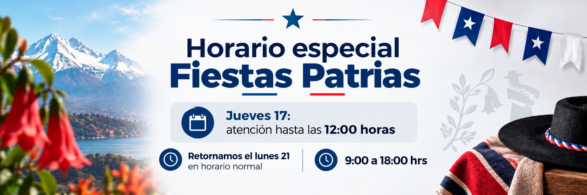 Banner-Techvalue-Fiestas-Patrias-1