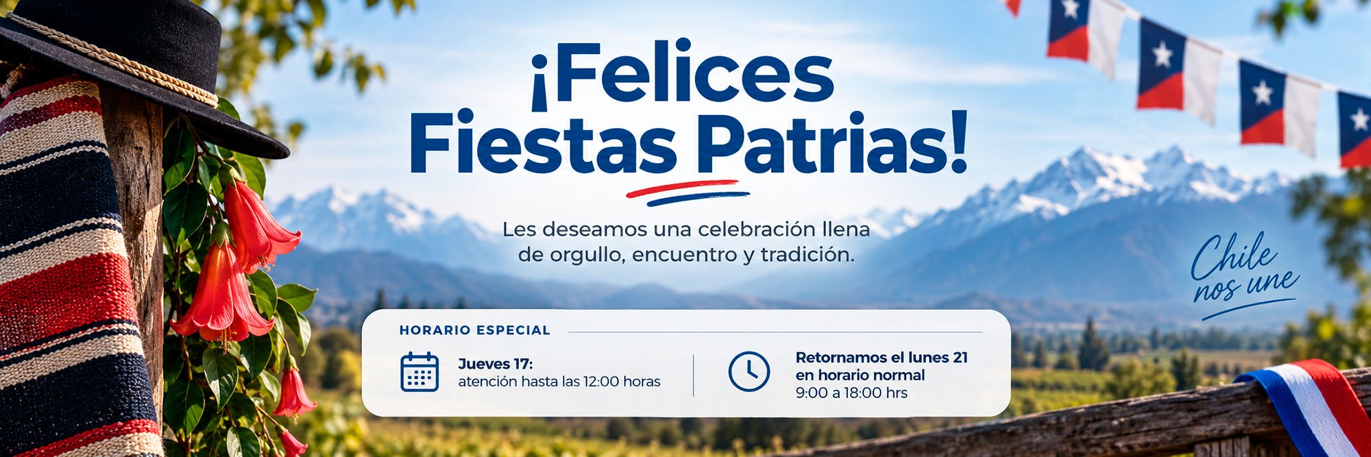 Banner-Techvalue-Fiestas-Patrias-3